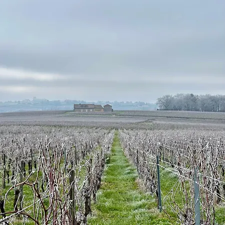 Aux Ducs De Sienne 4* Montagne (Gironde)