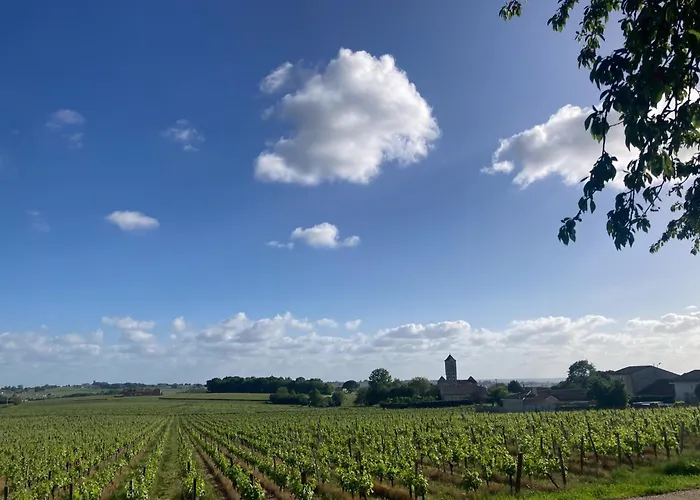 Aux Ducs De Sienne Hotell